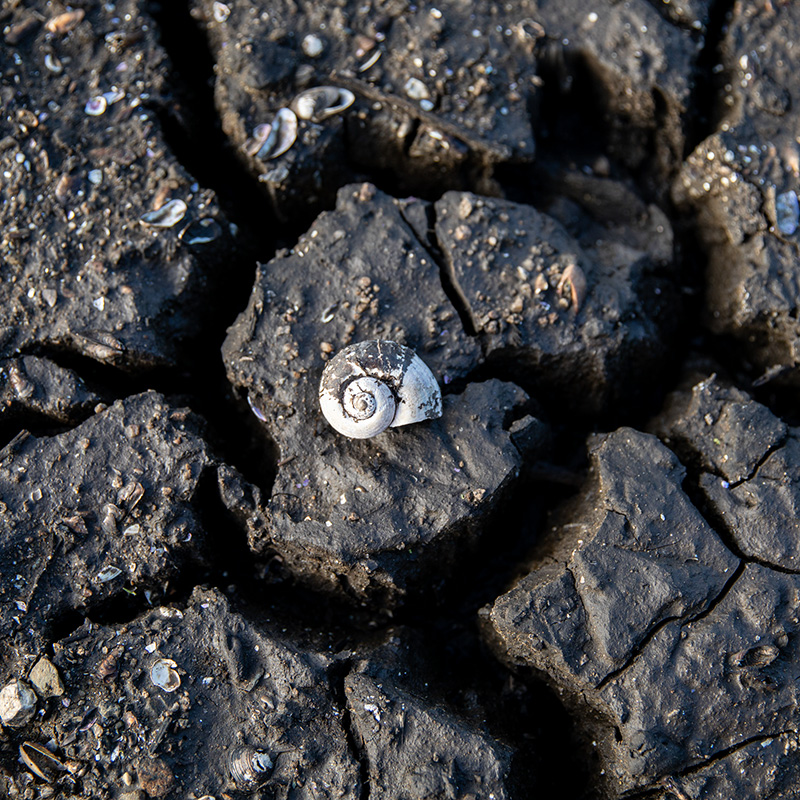 URUGUAY: MORE THAN 1.5 MILLION PEOPLE WITHOUT ACCESS TO DRINKING WATER