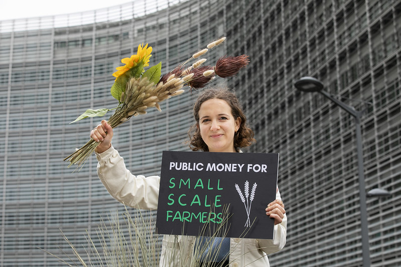 Small-scale farming in the European Union: youth voices from the ground